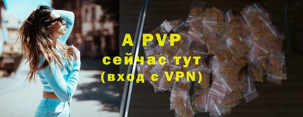 винт Аркадак