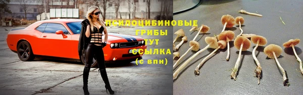 амфетамин Арсеньев