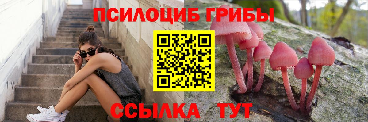 Псилоцибиновые грибы Magic Shrooms  Галлюциногенные грибы мухоморы  Губаха  Вход с VPN 
